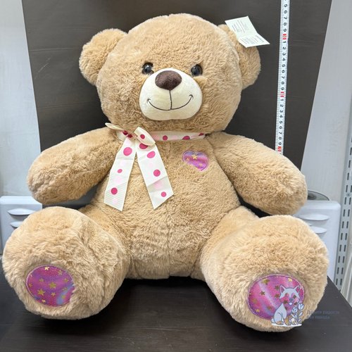 Медведь средний