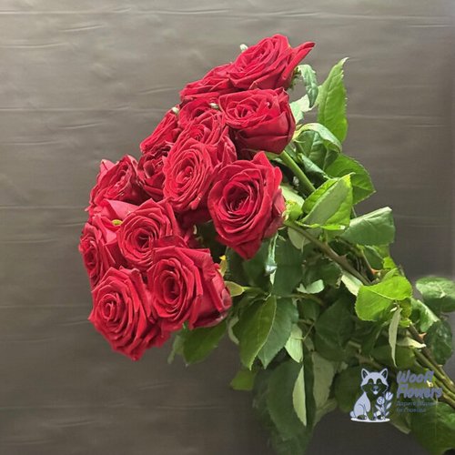 Роза красная