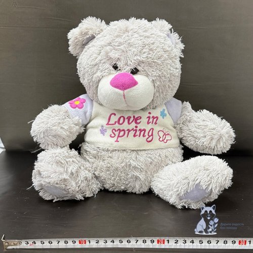 Медведь маленький