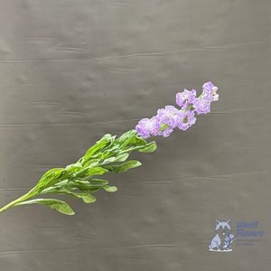 Маттиола сиреневая