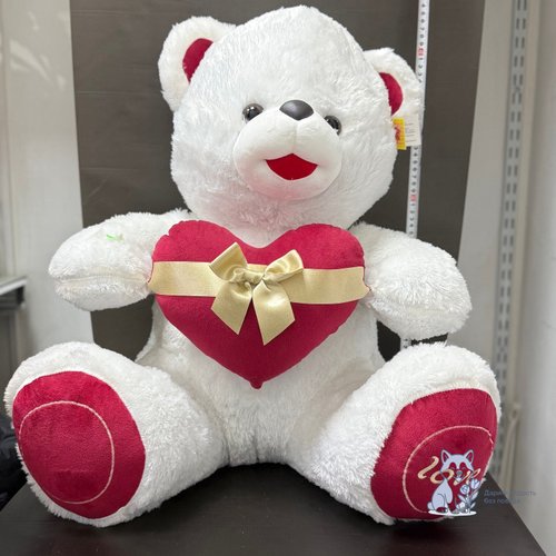 Медведь большой