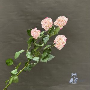 Роза кустовая розовая