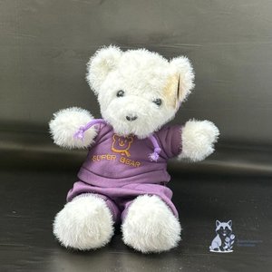 Медведь в худи