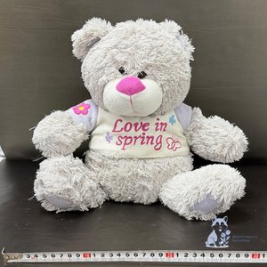 Медведь маленький