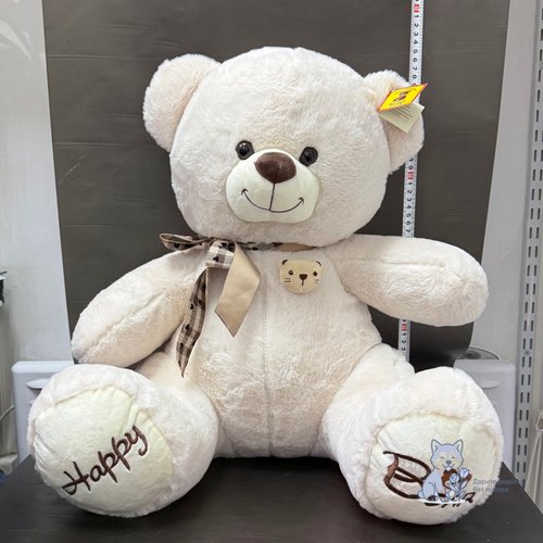 Медведь средний