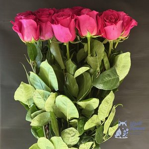 Роза розовая