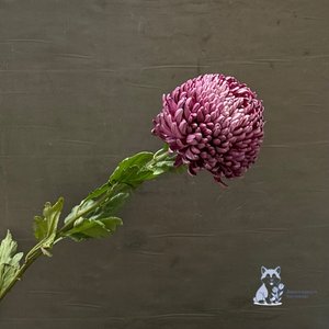 Хризантема "Бигуди" фиолетовая одноголовая