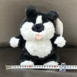 Котик с языком