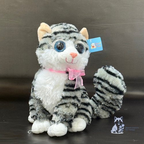 Кот с большими глазами