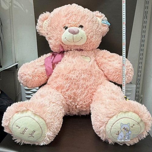 Медведь большой