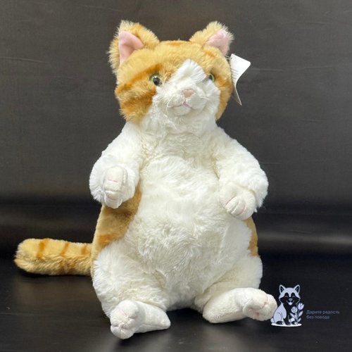 Кот рыже-белый