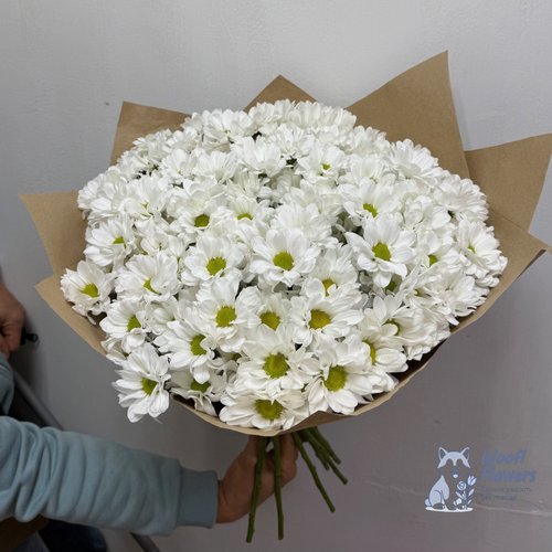 Букет из белых хризантем