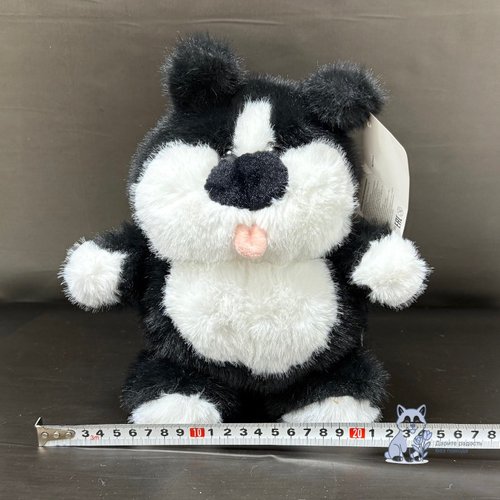 Котик с языком